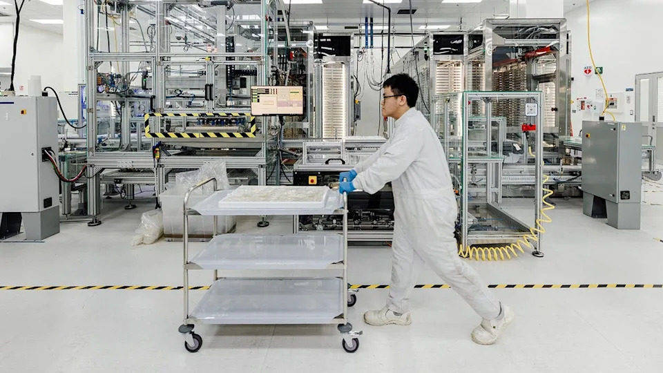Google Planira Da Pusti Milione Sterilnih Muških Komaraca — Šta To Znači i Koje Su Zabrinutosti