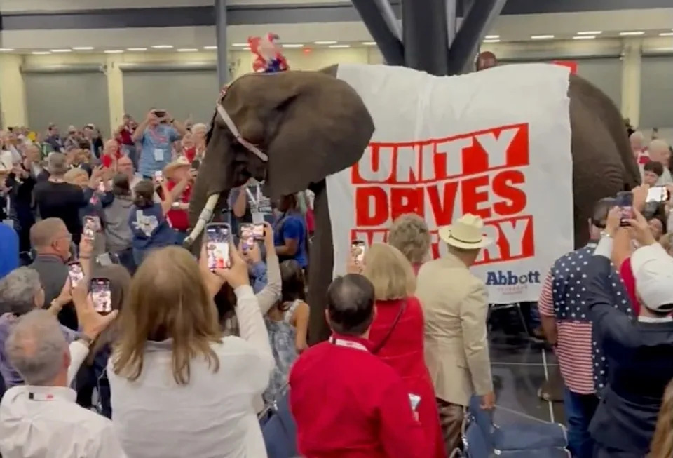 Live Elephant Paraded Through Texas GOP Convention Goes Viral — Simpsons Comparisons and Animal Welfare Concerns Follow