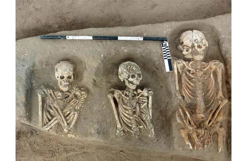 Greco‑Roman Cemetery Unearthed at Tel Kom Aziza, With Rare Wild Boar Burials and Multi‑Period Finds