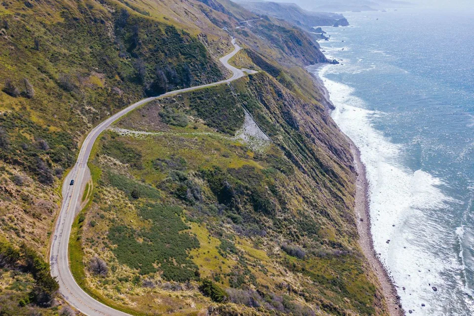 Extremely Rare Tick-Borne Bacterium Detected in California Resident — Fourth Human Case Worldwide
