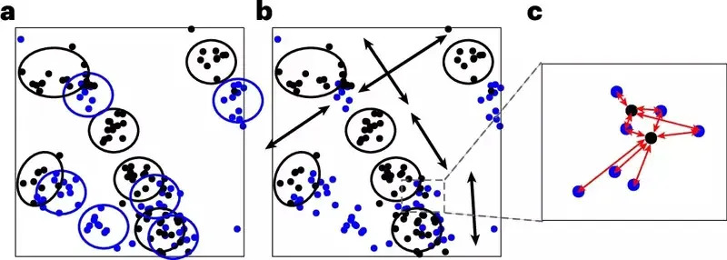 Asexual Reproduction in 574‑Million‑Year‑Old Fossils May Have Slowed Early Animal Evolution
