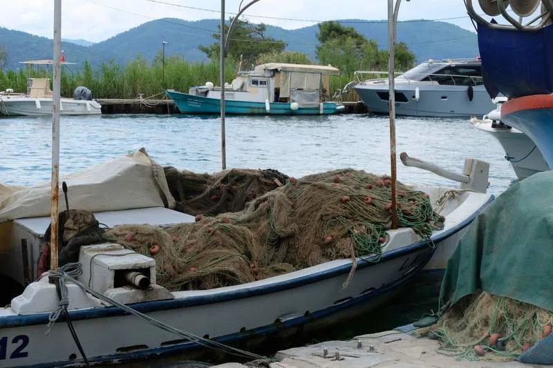 Kako se zaliv Gökova vratio sa ivice ekološkog kolapsa: priča o čuvarima, obnovi i lionfish delikatesu