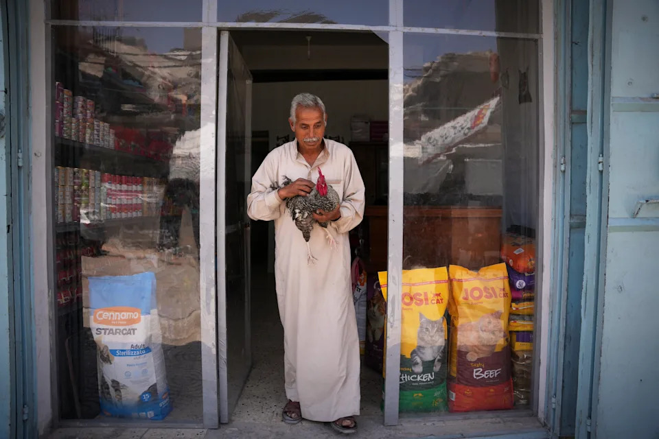 Rare Veterinary Clinic Still Operating in Gaza as Pet Care Collapses