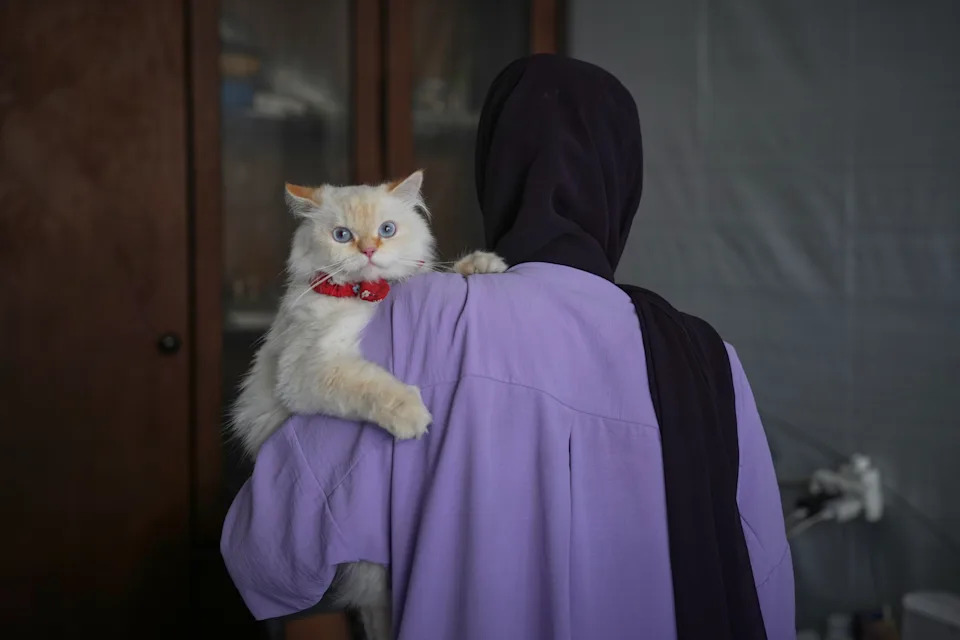 Rare Veterinary Clinic Still Operating in Gaza as Pet Care Collapses