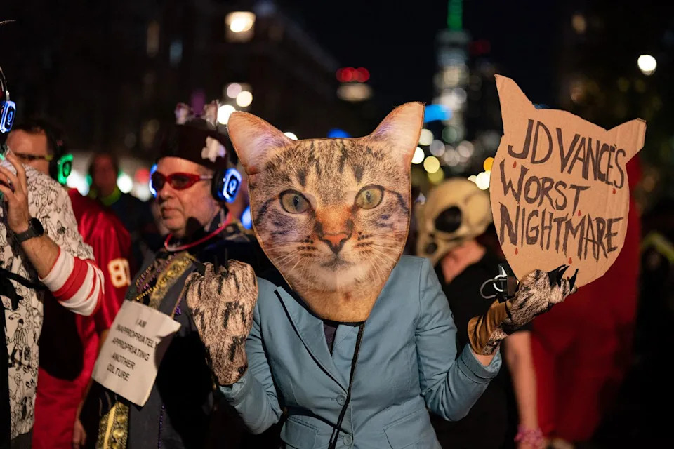 JD Vance Calls 'Childless Cat Ladies' Remark 