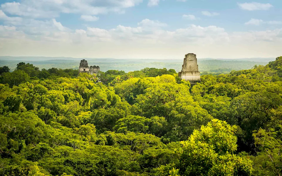 Colonial Legacies — Not Economics — Best Predict How Communities View Wildlife, New Study Finds