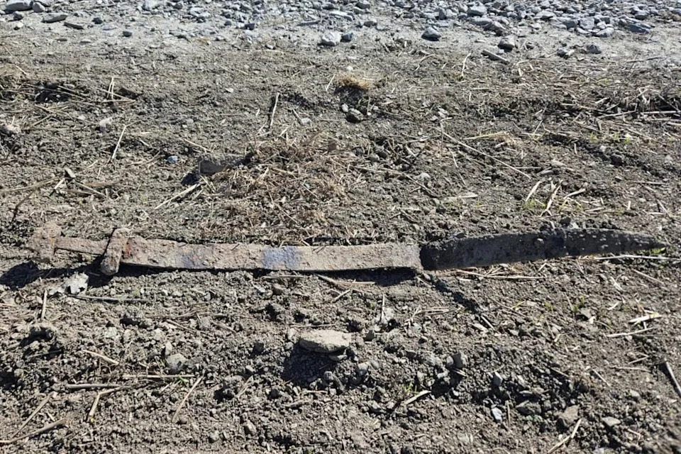 Six-Year-Old Finds 1,300-Year-Old Viking Sword on School Trip