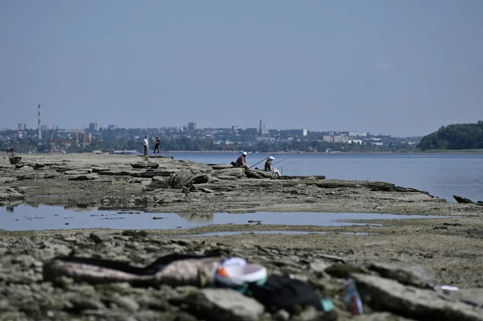 Tiha žrtva rata: Skriveni ekološki trošak sukoba