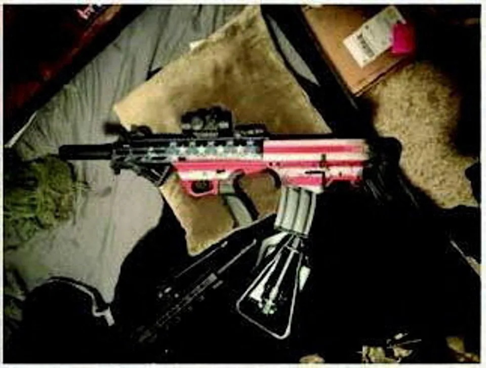 DOJ Tells Appeals Court Foiled Assassination Plot Justifies Fortified White House Ballroom With 'Drone Port' and Sniper Nests