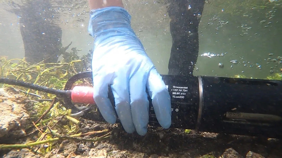 First‑of‑its‑Kind Real‑Time Sensor Network Launched To Protect River Test Chalk Stream