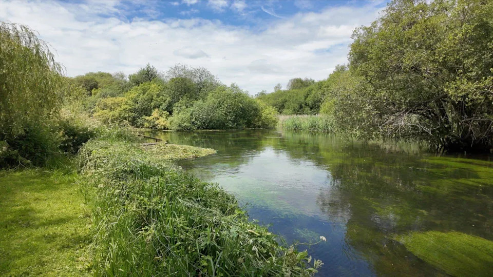 First‑of‑its‑Kind Real‑Time Sensor Network Launched To Protect River Test Chalk Stream