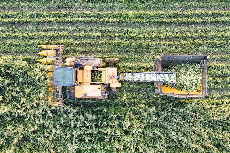 Kako Klimatske Promene Prete Ključnim Usevima: Šta Može Postati Teže Za Gajenje