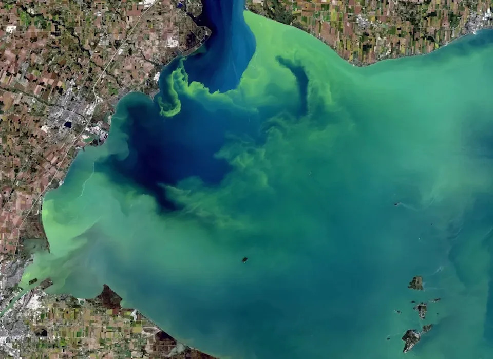 Kako Zagrejavanje Vode Menja Ekosistem Velikih Jezera i Šta To Znači Za Ljude