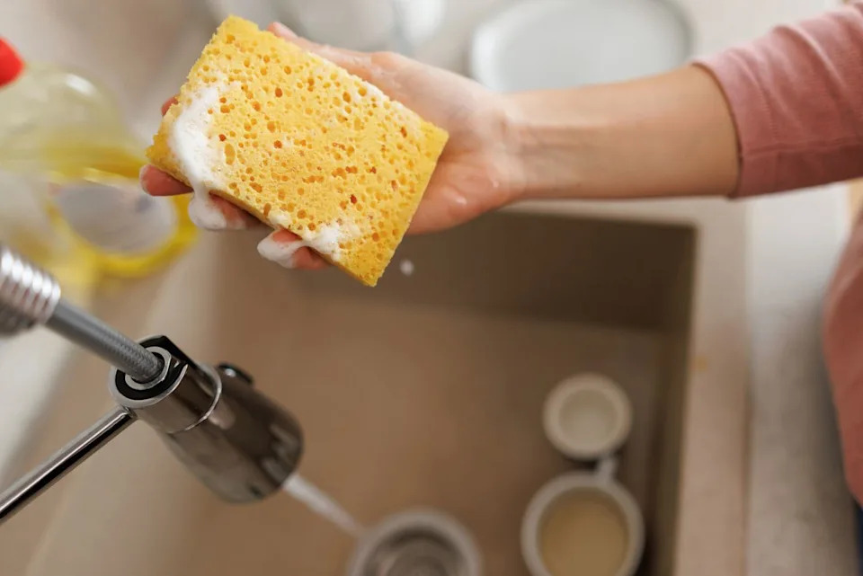Koliko Mikroplastike Otpušta Vaš Kuhinjski Sunđer? Studija Pokazuje 0,68–4,21 g Po Osobi Godišnje