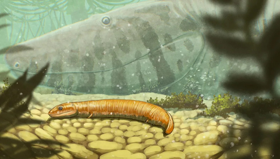 Baby 'Crocodile-Like' Fossils Rewrite How Early Vertebrates Moved Onto Land
