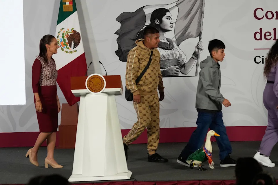 Patka Merlín Zasjenila Konferenciju Predsednice Sheinbaum — Simpatičan Trenutak Koji Je Izazvao Kritike