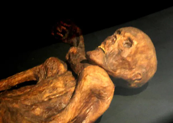 Ötzi 'Živ' u Mikrobnom Smislu: Drevni Mikrobi Otkriveni u Mumiji Stare 5.300 Godina