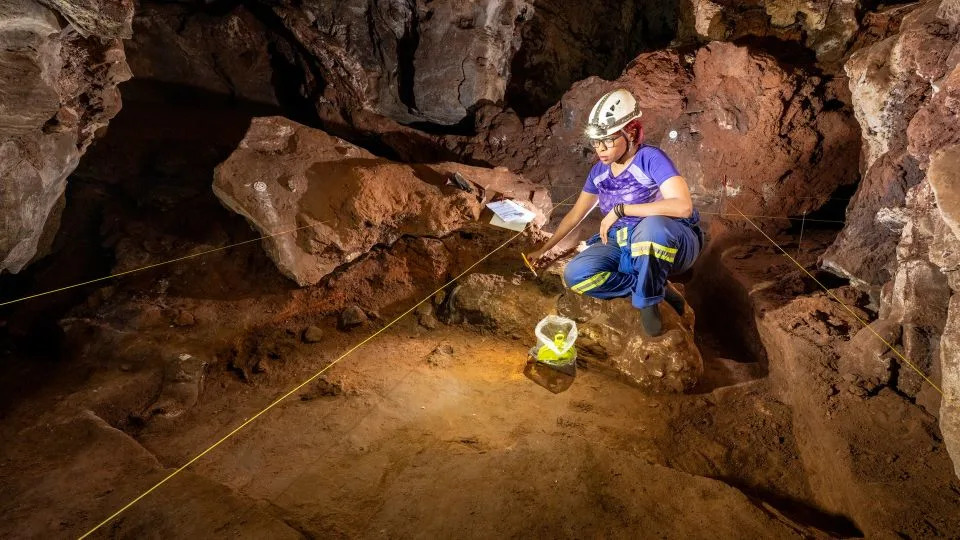 Nova enigma iz Rising Star pećina: svi 20 analiziranih zuba Homo naledi pripadaju ženama