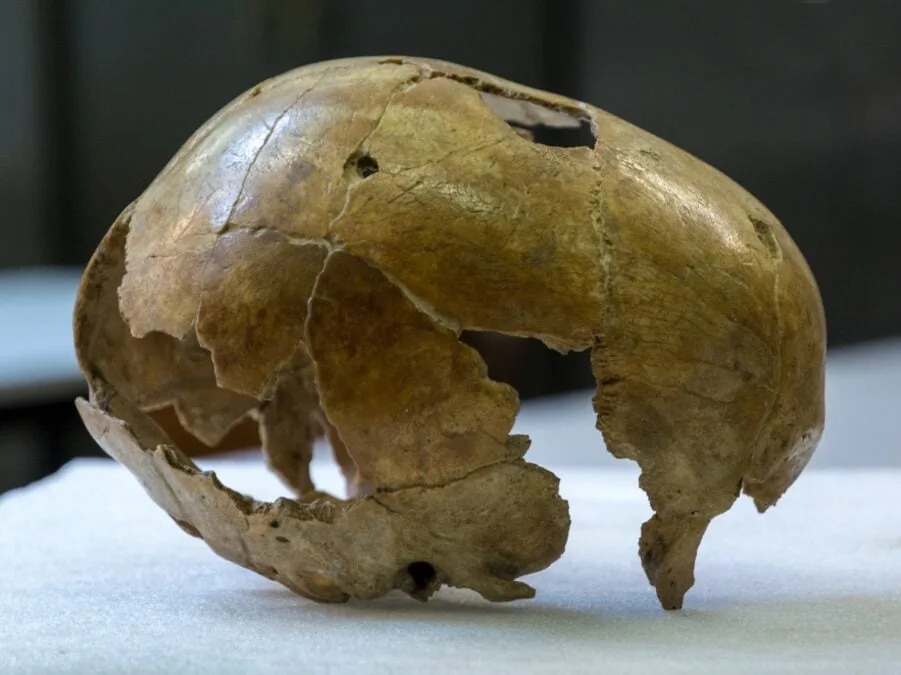 Drevna DNK Otkriva Neočekivano: Poslednji Neandertalci Nisu Bili Masovno Inbredni