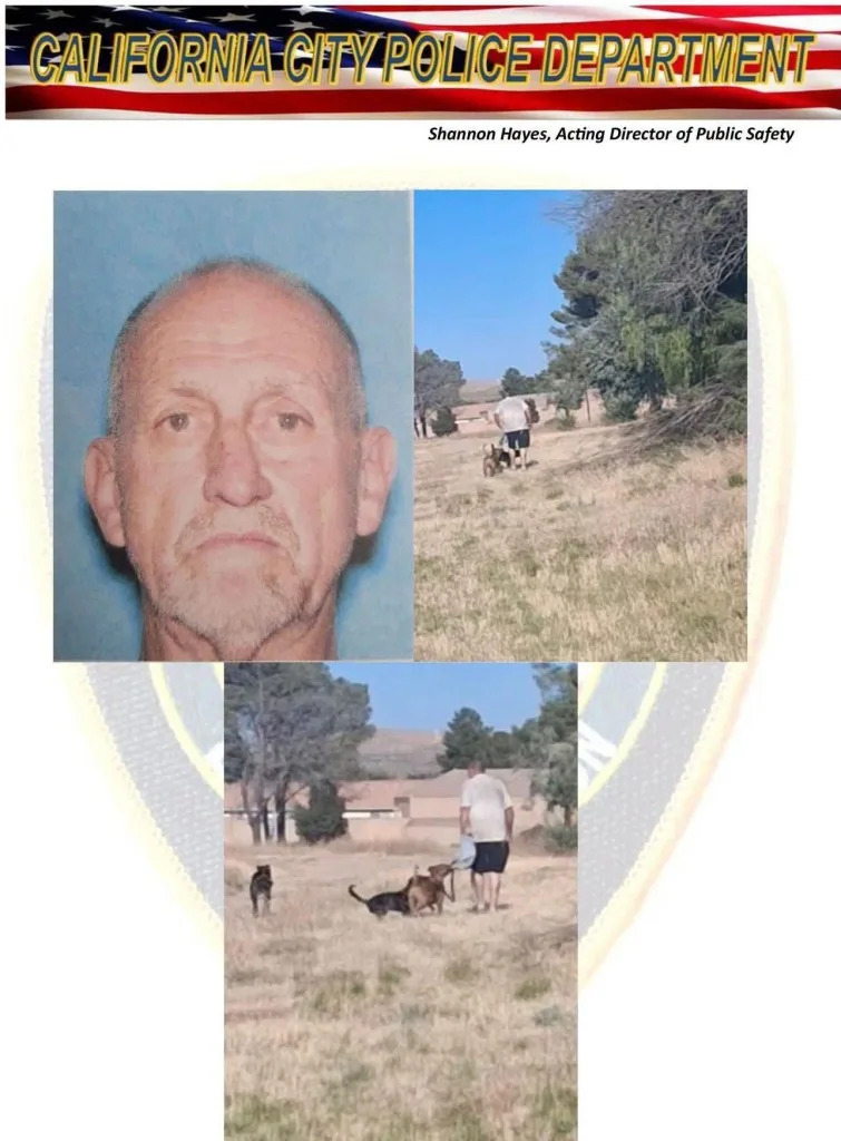 12-Year-Old Fernando Torres Moreno Drowns After Jumping Into Kern County Lake To Escape Three Dogs; Authorities Seek Owner