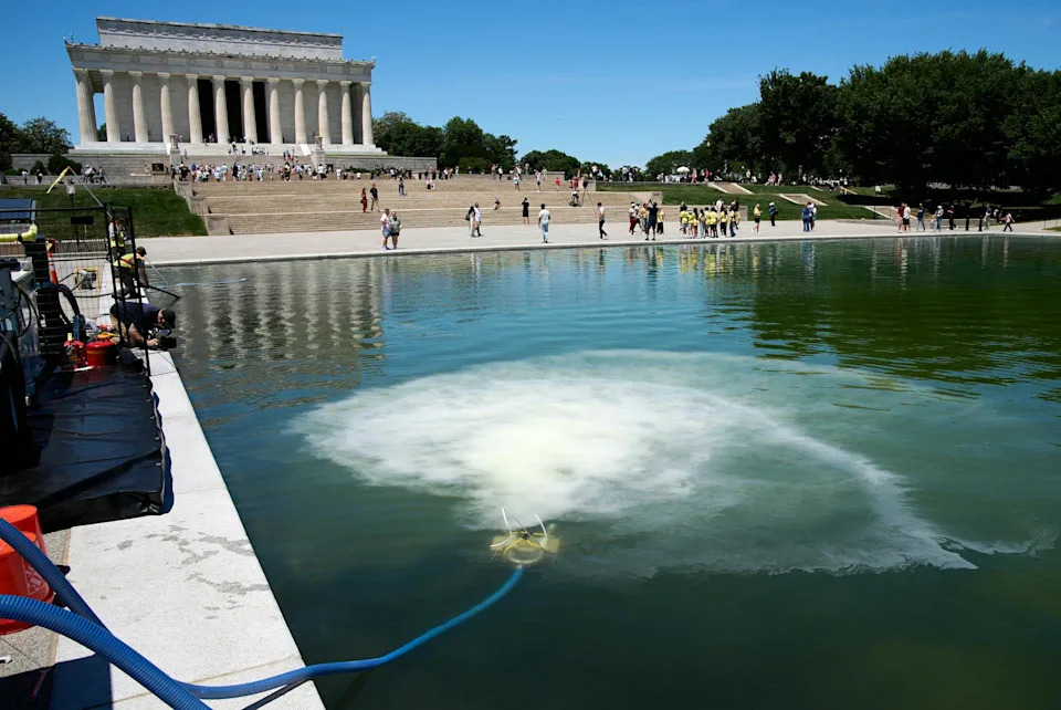 Skip the Chemicals: How Nature Can Clear Algae From the Lincoln Memorial Reflecting Pool and Community Ponds