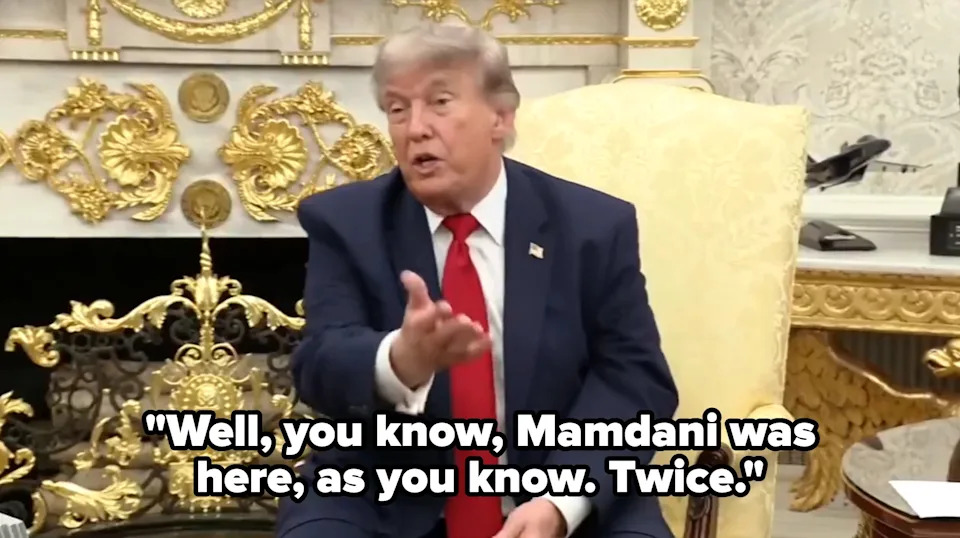 Donald Trump Praised NY Assemblymember Zohran Mamdani So Enthusiastically Some MAGA Supporters Seemed Jealous