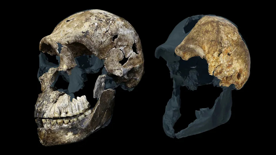 Mogući fosili na Marsu i druge senzacije: voda u dve faze, JWST i zagonetni Homo naledi