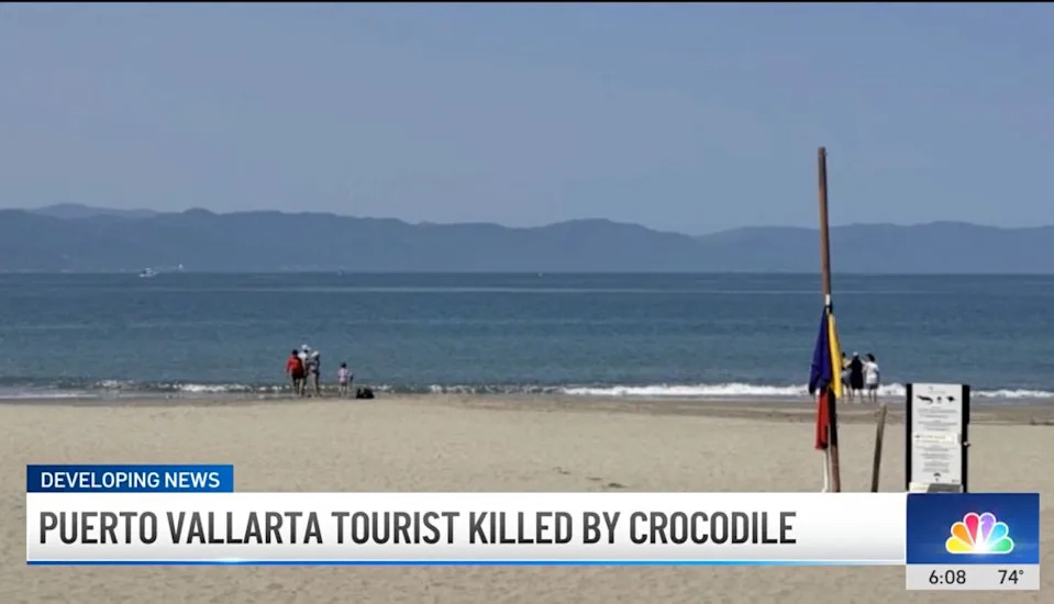 Horor u Puerto Vallarti: Krokodil Usmrtio 28-Godišnjeg Muškarca Na Plaži Marina Vallarta