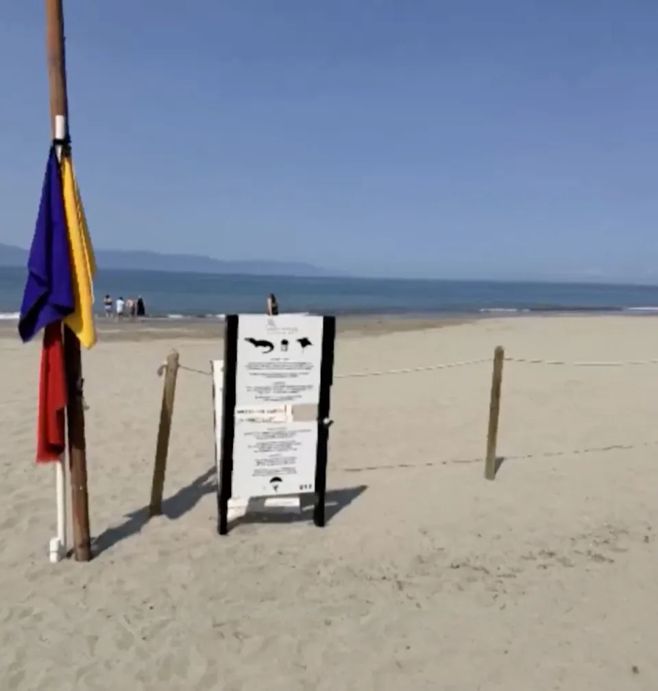 Horor u Puerto Vallarti: Krokodil Usmrtio 28-Godišnjeg Muškarca Na Plaži Marina Vallarta
