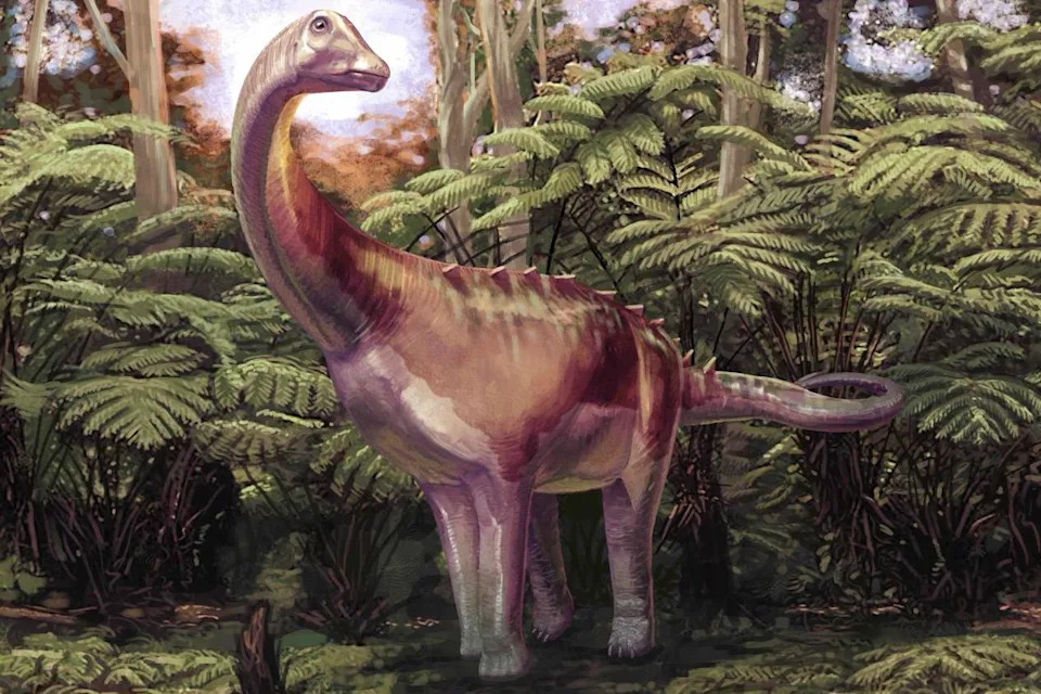 Prva dinosauruska kost sa Antarktika: zaboravljeni fosil iz fioke otkriva titanosaurusa
