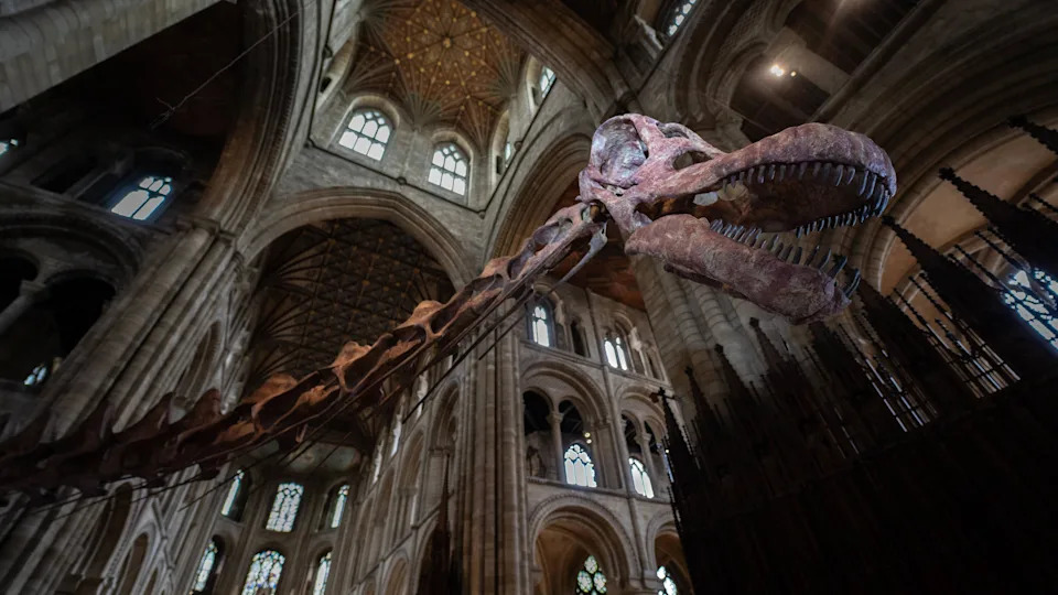 Prva dinosauruska kost sa Antarktika: zaboravljeni fosil iz fioke otkriva titanosaurusa
