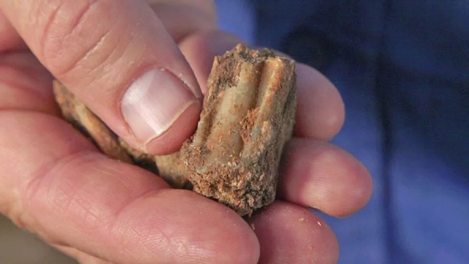 Otkrivena pećina stara do 400.000 godina kod Fureidisa: Dokazi o složenom životu pre-Neandertalaca
