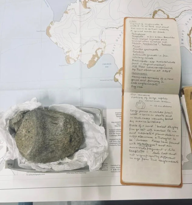 Fosil Zaboravljen 40 Godina Potvrđen Kao Prvi Koščani Ostatak Dinosaura Sa Antarktika
