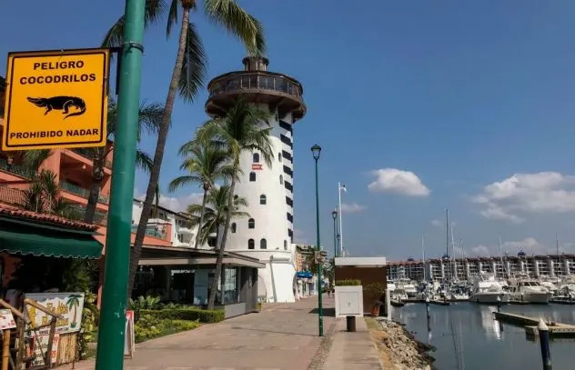 Krokodil Ubio Muškarca Na Plaži U Puerto Vallarti — Telo Pronašla Meksička Mornarica, Reptil Uhvaćen