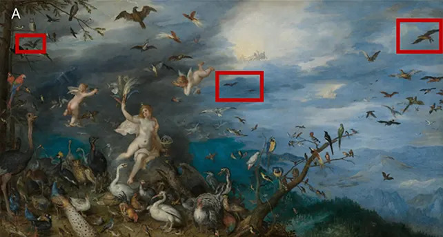 Slika Stara 400 Godina Otkriva: Jan Brejgel Je 1611. Prikazao Slepog Miša Koji Jede Pticu