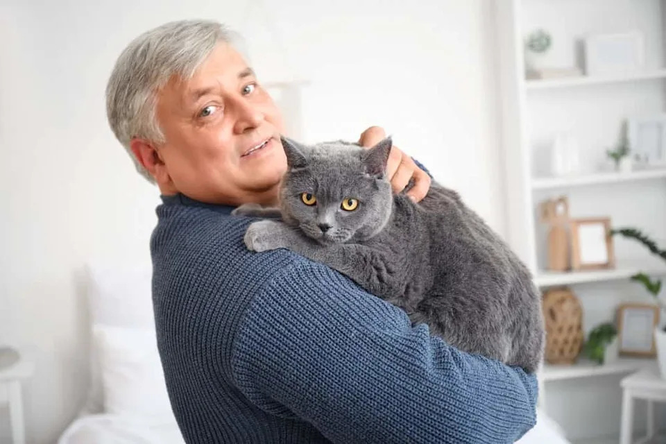 Mozak Stare Mačke Može Otkriti Tajne Ljudskog Starenja