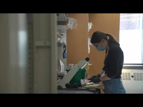 Jedna Injekcija Obnovila Zglobove Kod Životinja U 4–8 Nedelja — Terapija Se Približava Kliničkim Ispitivanjem