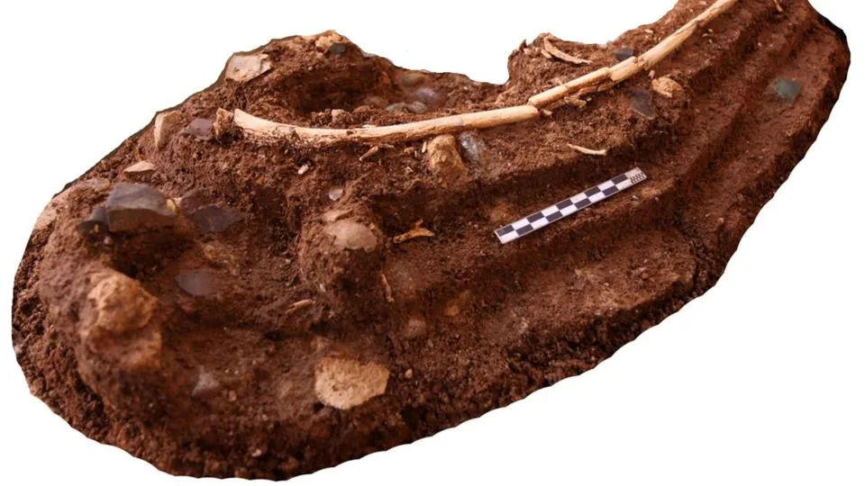 Nova studija: Hobiti sa Floresa verovatno su skupljali ostatke Komodo zmajeva, ne sistematski lovili