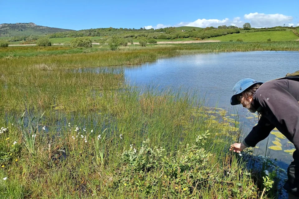 The Bogfather: Dr Peter Jones Obnavlja Tresetišta Velsa — Prirodno Rešenje Protiv Klimatskih Promena