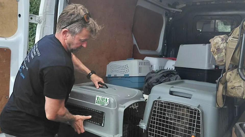 „Kao iz filma Terminator“: Bivši marinac spasio 194 životinje s linije fronta u Kramatorsku