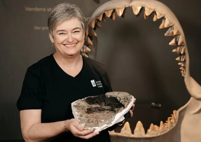 Pršljen Prečnika 23 cm Iz 1978. Ponovo Pronađen: Potvrđena Maksimalna Veličina Megalodona