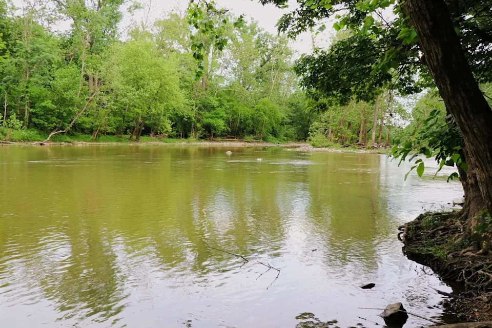 Požar Na Cuyahoga Reku Pokrenuo Clean Water Act — 71 Vrsta Ribe Se Vratila U Reke Ohaja