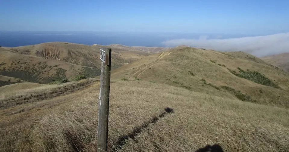 13.000-godišnje kosti na Channel Islands mogle bi promeniti priču o naseljavanju Severne Amerike
