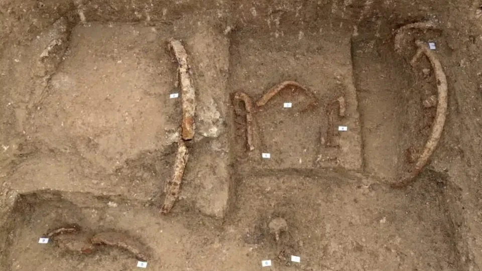 Otkrivena 2.500 godina stara grobnica 'ratničkog princa' u Sirolu — dvokolica, šlem i bogati nalazi Picena