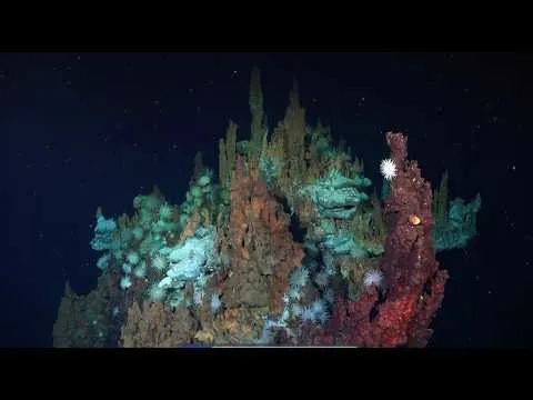 Prvi snimci barreleye ribe i dva nova hidrotermalna polja otkriveni duboko ispod Atlantika