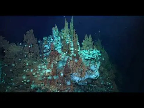 Prvi snimci barreleye ribe i dva nova hidrotermalna polja otkriveni duboko ispod Atlantika