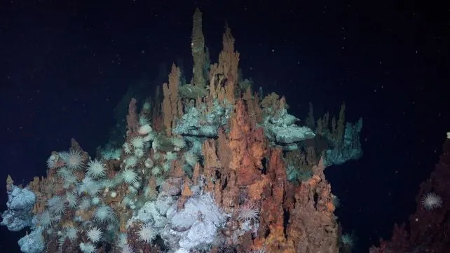 Prvi snimci barreleye ribe i dva nova hidrotermalna polja otkriveni duboko ispod Atlantika