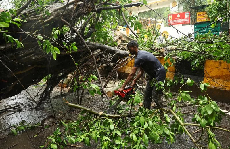 IUCN: Duboko-morsko rudarstvo preti mekušcima sa hidrotermalnih izvora — 62% vrsta u riziku