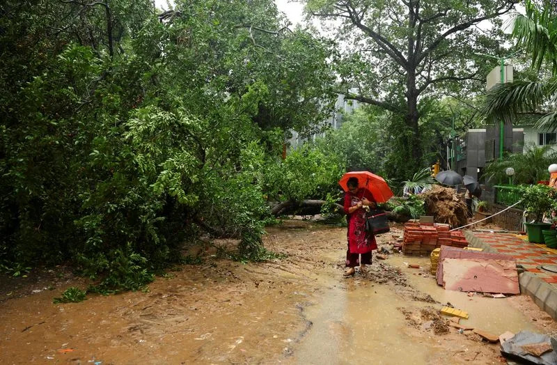 IUCN: Duboko-morsko rudarstvo preti mekušcima sa hidrotermalnih izvora — 62% vrsta u riziku