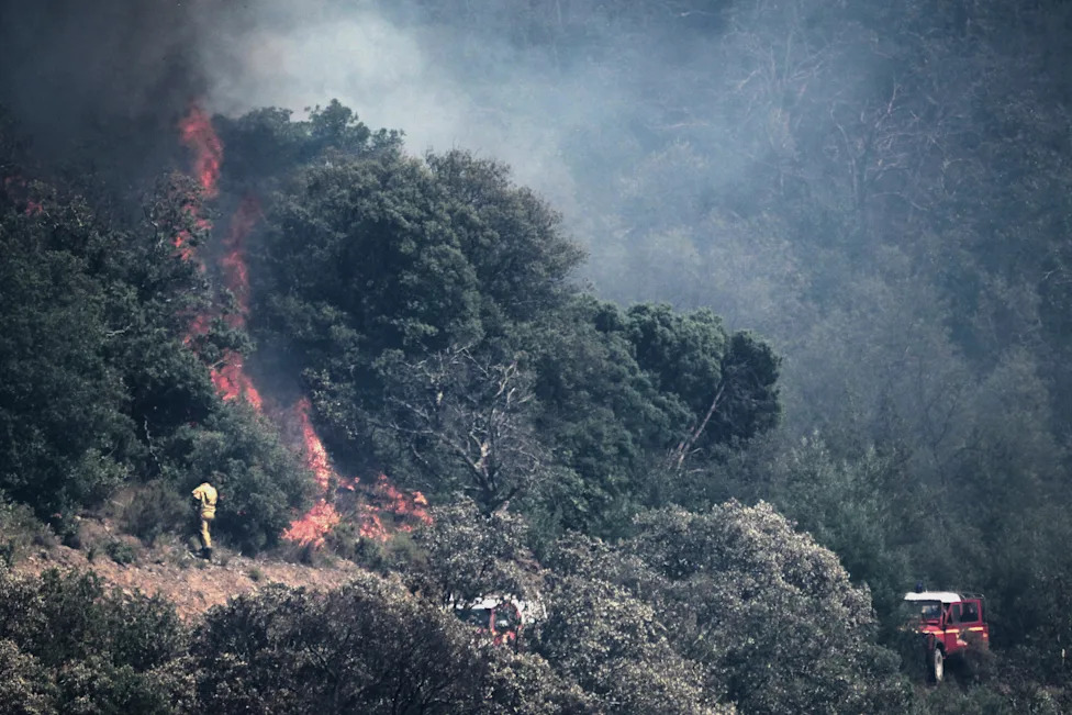 Šumski požari u Evropi: Stotine žrtava u poslednjoj deceniji — klimatske promene pogoršavaju rizik